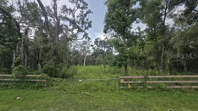 Unit for sale at TABLE ROCK DRIVE, WEBSTER, FL 33597
