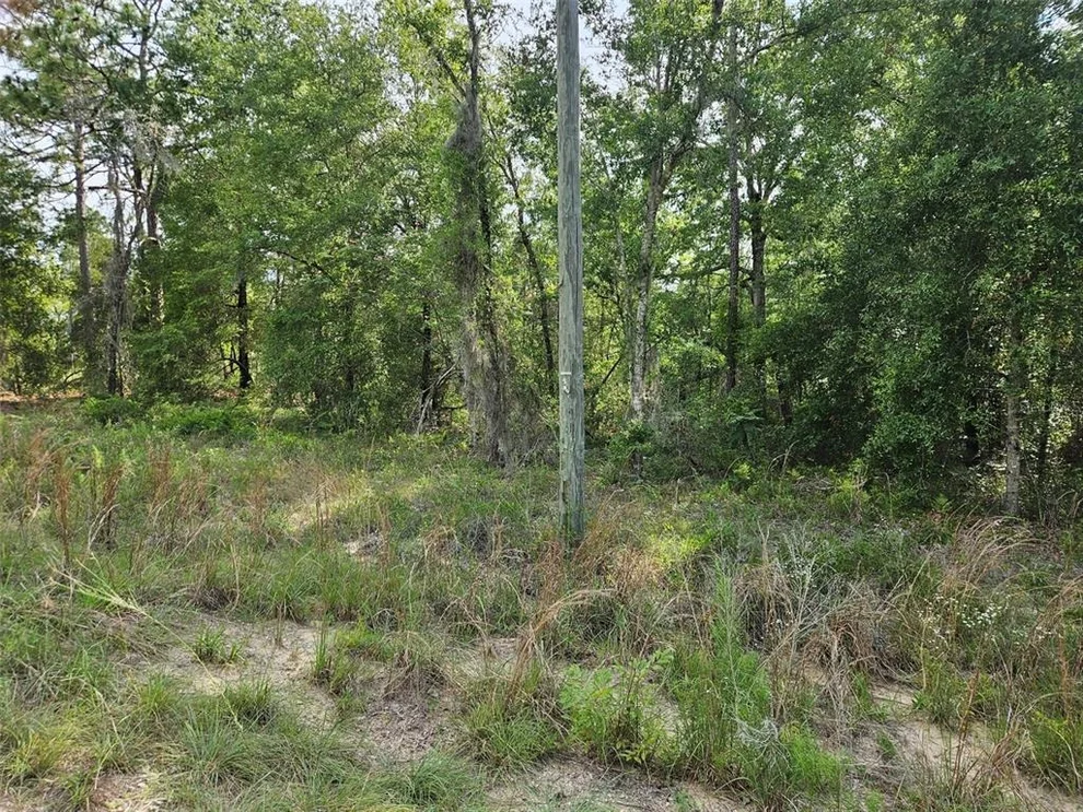 Unit for sale at tbd NE 153RD AVENUE, WILLISTON, FL 32696