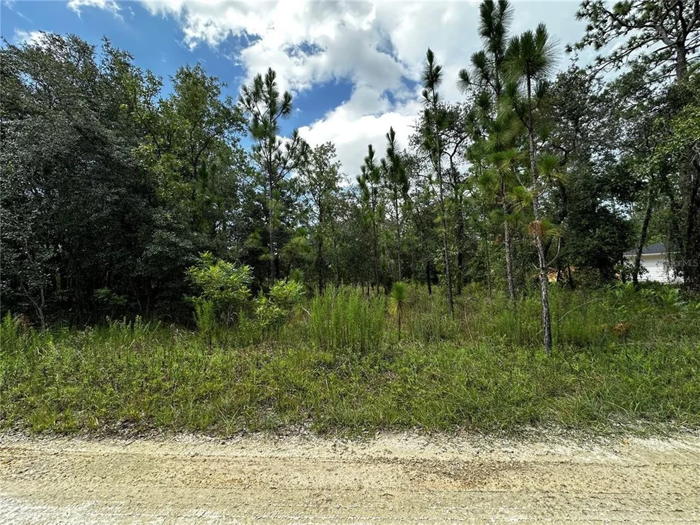 Unit for sale at TBD NE 15TH LANE, WILLISTON, FL 32696