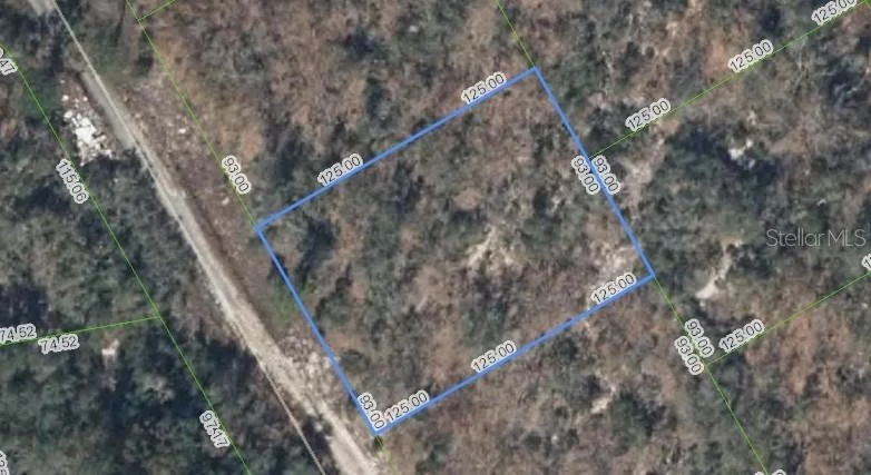 Unit for sale at 289 BLUE HORIZON DRIVE, LAKE PLACID, FL 33852
