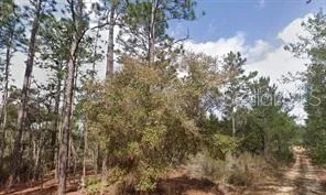Unit for sale at AKRON STREET, INTERLACHEN, FL 32148
