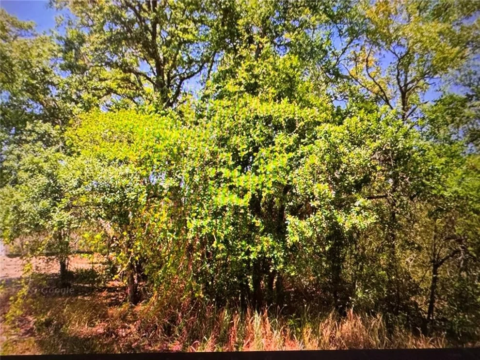 Unit for sale at 252 LOCUST LANE, OCALA, FL 34472