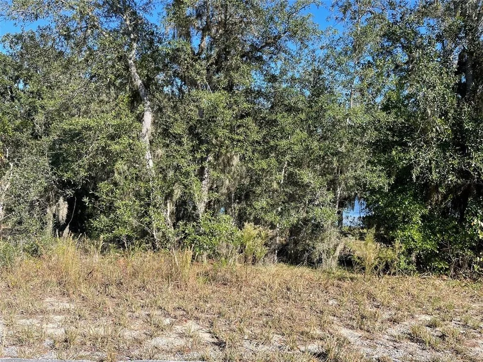 Unit for sale at LOTS 444, 445 SW SHOREWOOD DRIVE, DUNNELLON, FL 34431