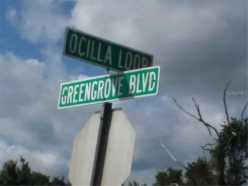 Unit for sale at GREENGROVE BOULEVARD, CLERMONT, FL 34714