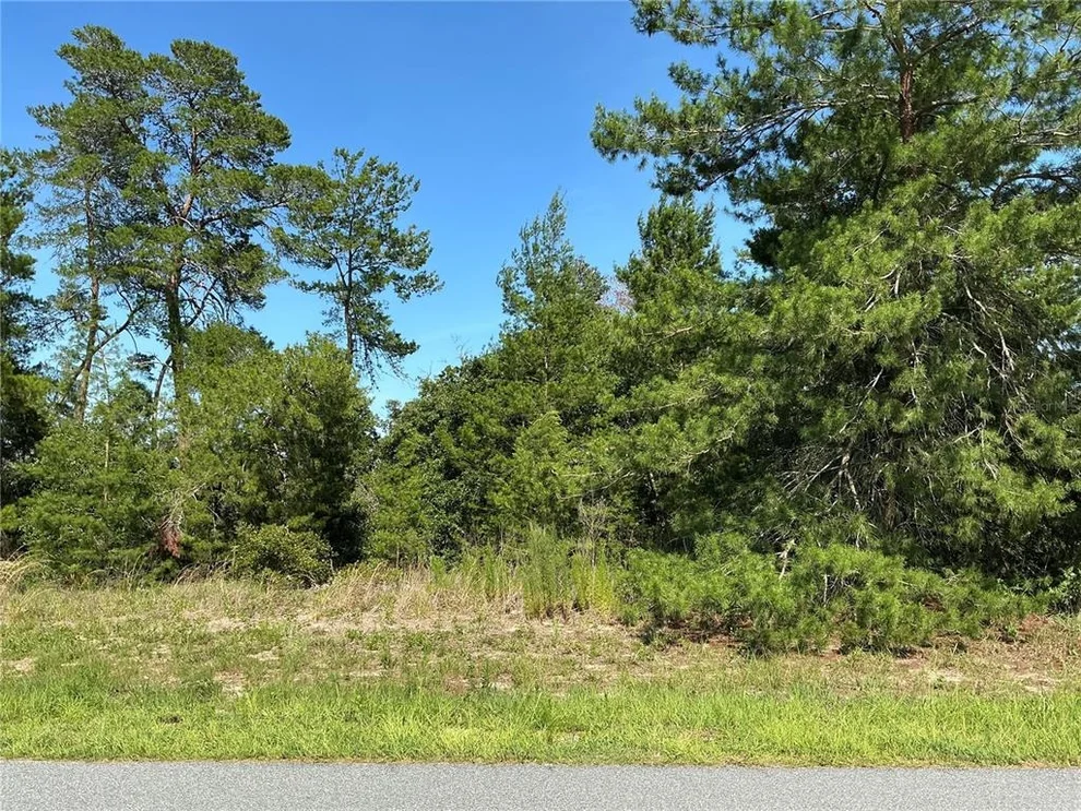 Unit for sale at TBD SW 35TH AVENUE ROAD, OCALA, FL 34473