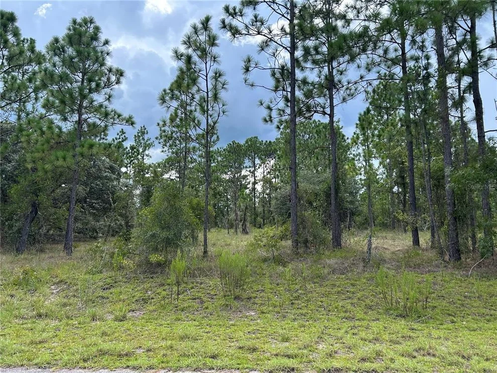 Unit for sale at TBD SE 138TH AVENUE, DUNNELLON, FL 34431