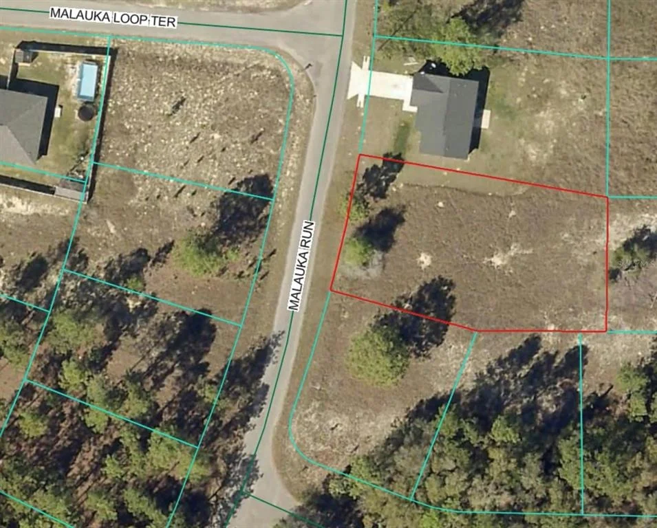 Unit for sale at LOT 5 SE MALAUKA RUN, OCKLAWAHA, FL 32179