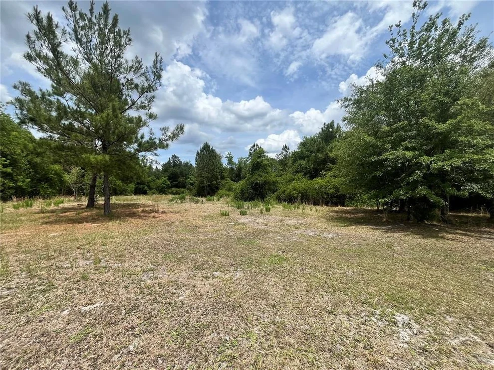 Unit for sale at 0 NW COUNTY ROAD 229, STARKE, FL 32091