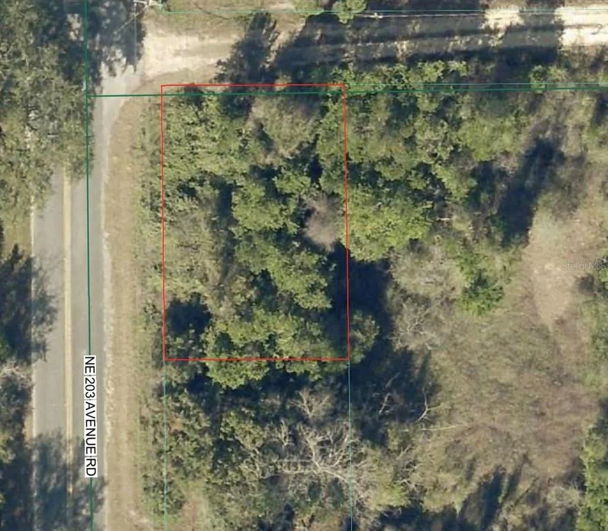 Unit for sale at TBD NE 143 LANE, FORT MC COY, FL 32134