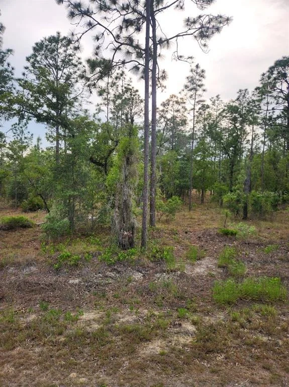 Unit for sale at 00 SE 130TH CT, DUNNELLON, FL 34431