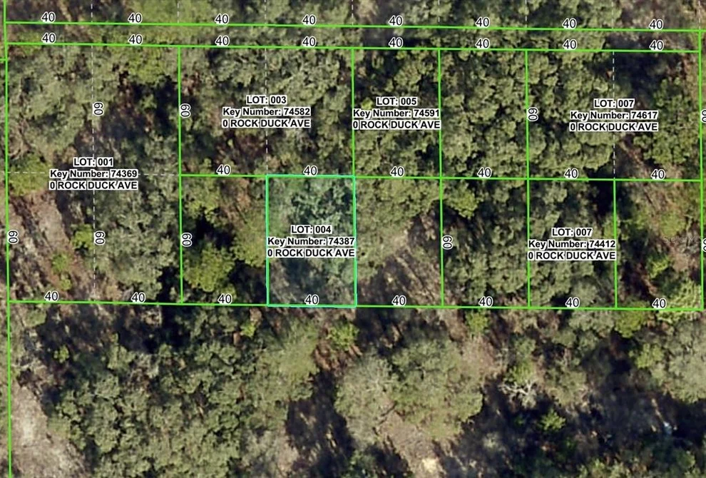 Unit for sale at ROCK DUCK AVENUE, BROOKSVILLE, FL 34614