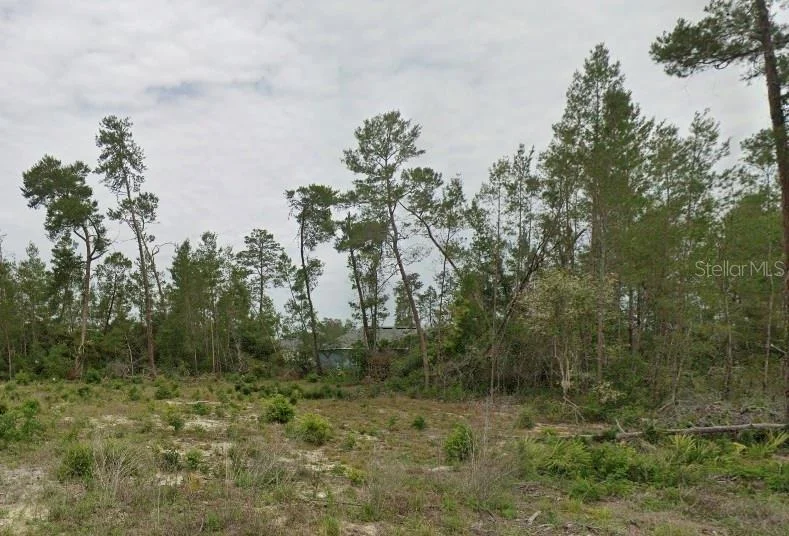 Unit for sale at TBD SW 30TH AVE RD, OCALA, FL 34473