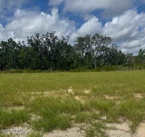 Unit for sale at 93 CORONADO ROAD, FLAGLER BEACH, FL 32136