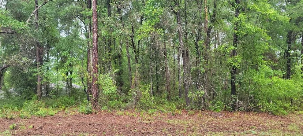 Unit for sale at 9781 N LORETTA WAY, CITRUS SPRINGS, FL 34434