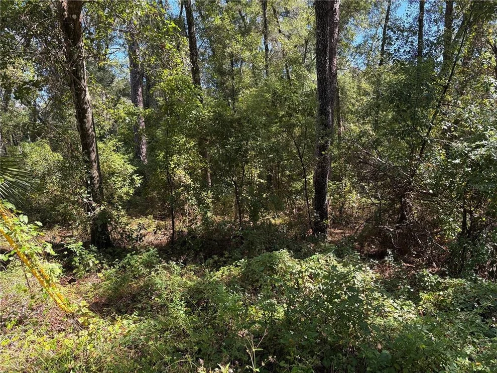 Unit for sale at 1228 CLOVER TERRACE, INVERNESS, FL 34452