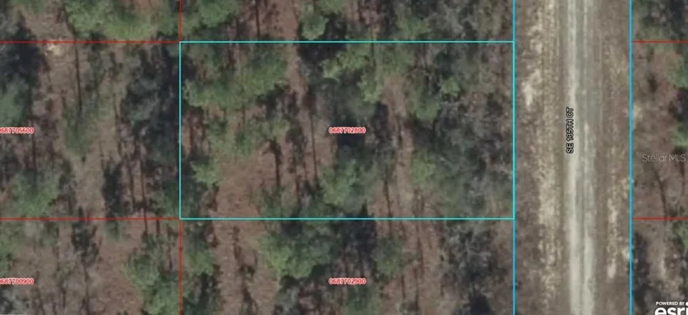 Unit for sale at 06877-028-00 SE 135TH COURT, DUNNELLON, FL 34431