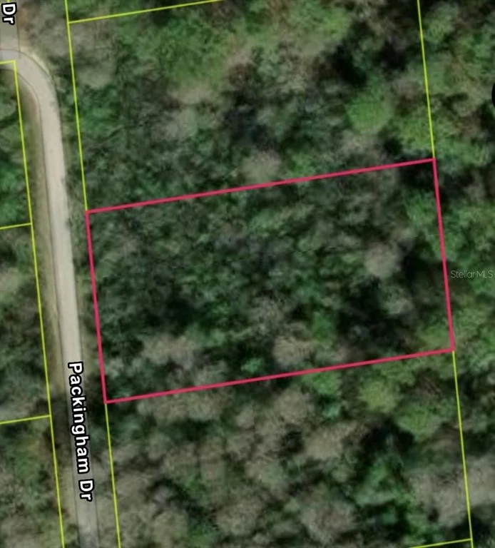 Unit for sale at PACKINGHAM DR, LOT 10, WEBSTER, FL 33597