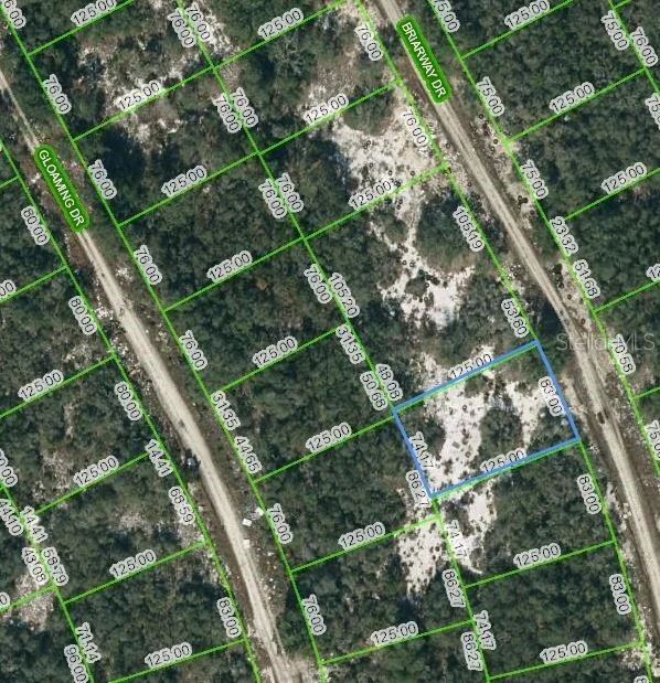 Unit for sale at 210 BRIARWAY DRIVE, LAKE PLACID, FL 33852