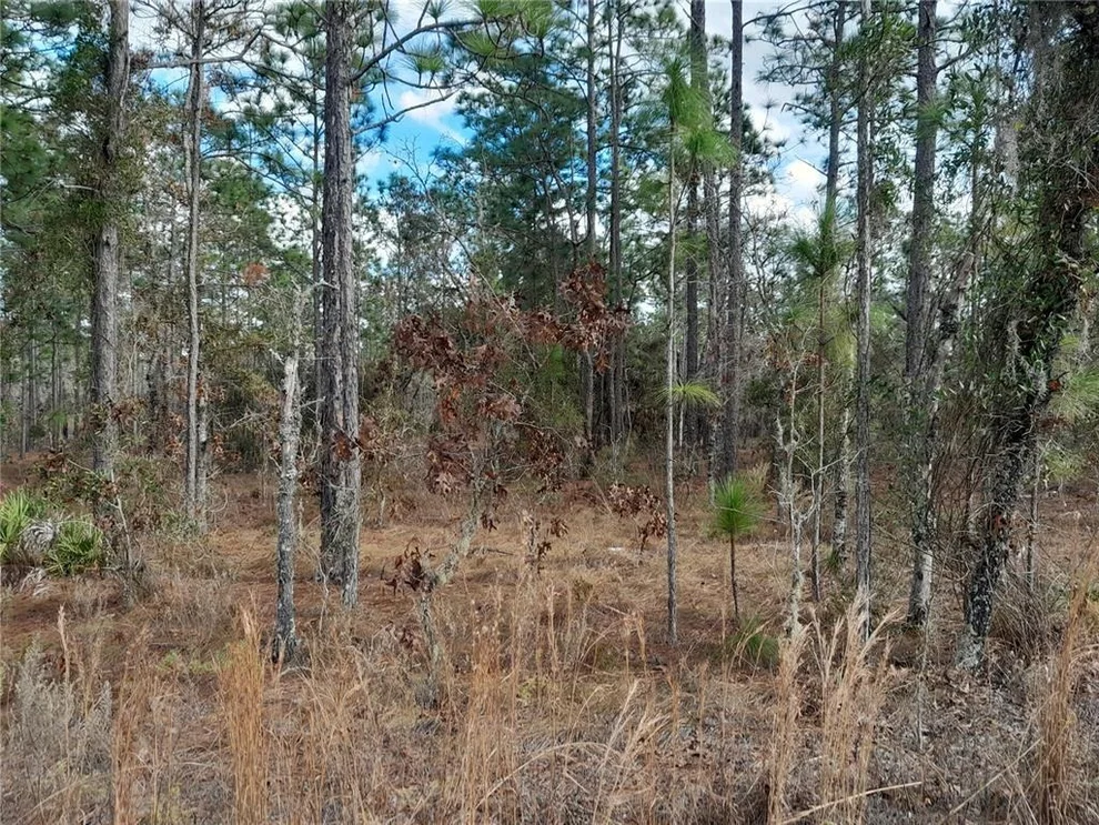 Unit for sale at tbd NE 150TH AVENUE, WILLISTON, FL 32696