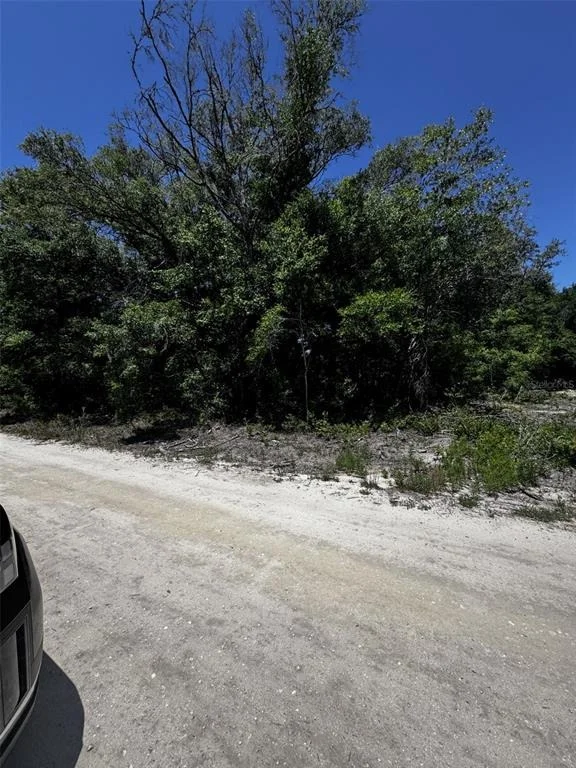 Unit for sale at 0 SW 104TH LANE, DUNNELLON, FL 34432