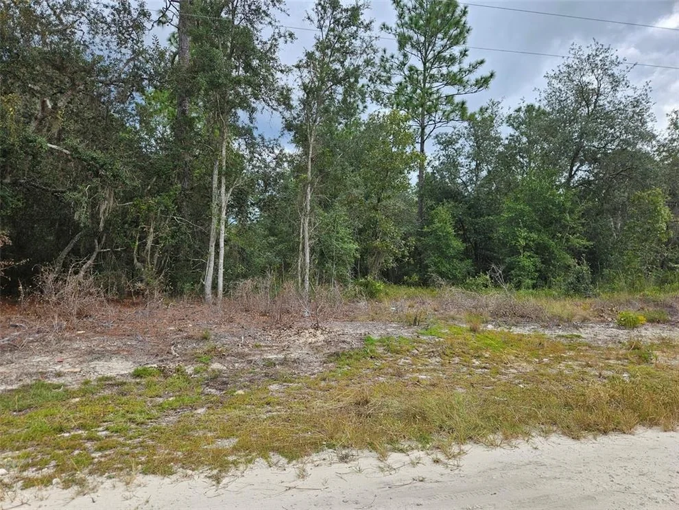 Unit for sale at 0000 NE 67TH STREET, BRONSON, FL 32621