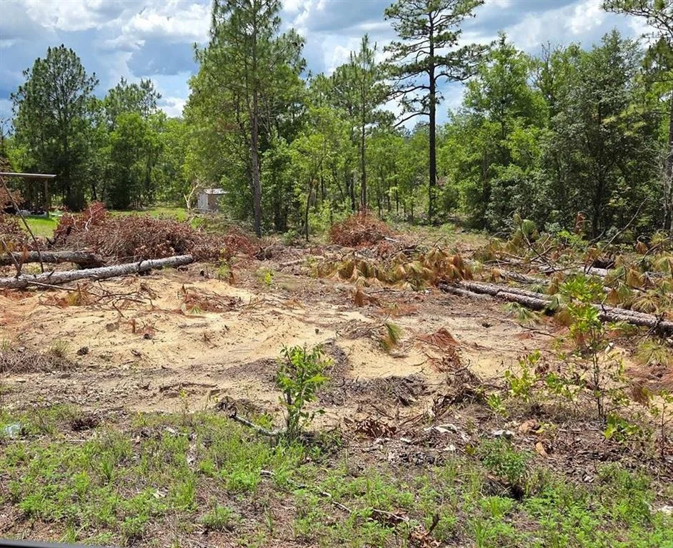 Unit for sale at tbd NE 14TH PLACE, WILLISTON, FL 32696