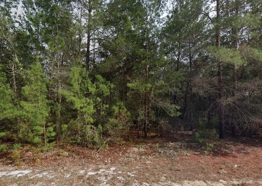 Unit for sale at THERESA AVENUE, INTERLACHEN, FL 32148