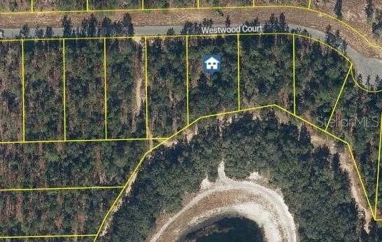 Unit for sale at 115 WESTWOOD COURT, INTERLACHEN, FL 32148