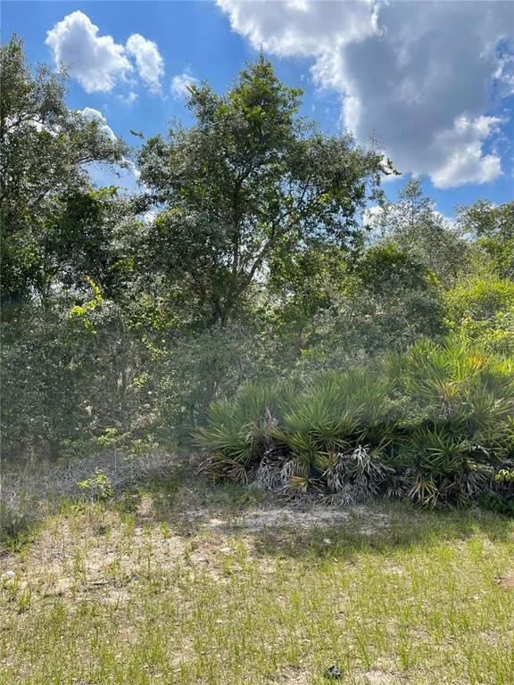 Unit for sale at 615 MEDITERRANEAN COURT, POINCIANA, FL 34759