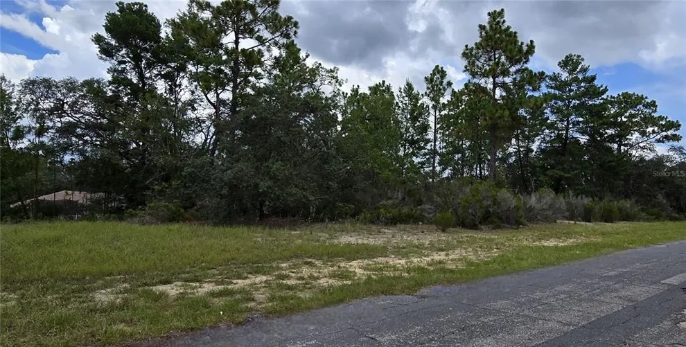 Unit for sale at 2899 W SANTANA DRIVE, CITRUS SPRINGS, FL 34433
