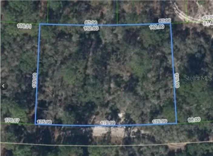 Unit for sale at 354 CARTIER AVENUE, LAKE PLACID, FL 33852