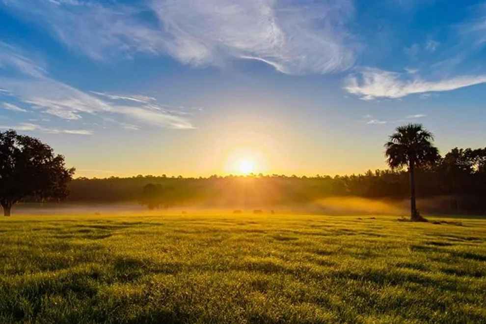 Unit for sale at TBD HWY 329, REDDICK, FL 32686