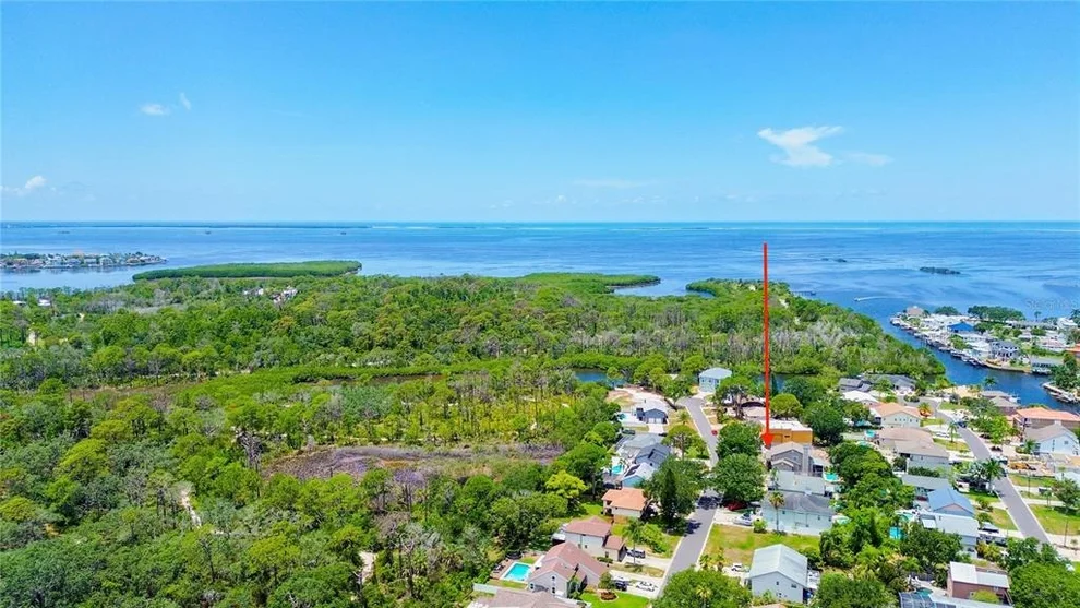 Unit for sale at 14 BAYWOOD DRIVE, PALM HARBOR, FL 34683