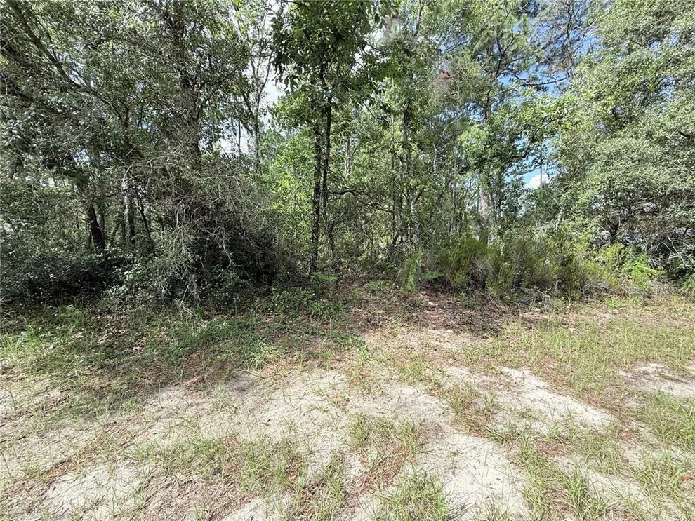 Unit for sale at TBD SW 65TH AVENUE ROAD, OCALA, FL 34473
