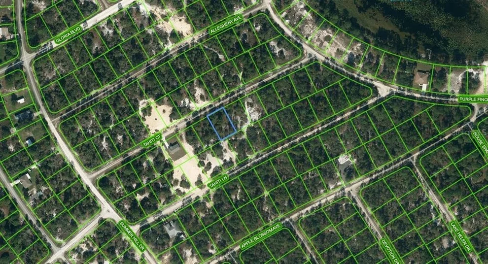 Unit for sale at 415 TAHITI COURT, LAKE PLACID, FL 33852