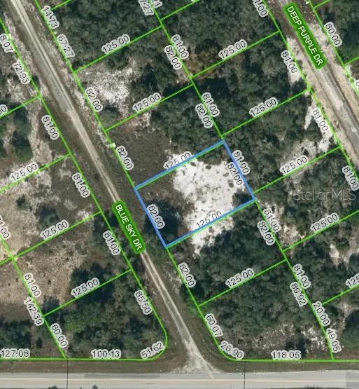 Unit for sale at 205 BLUE SKY DRIVE, LAKE PLACID, FL 33852