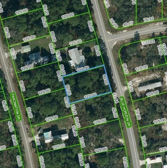 Unit for sale at 112 BLUE HORIZON DRIVE, LAKE PLACID, FL 33852