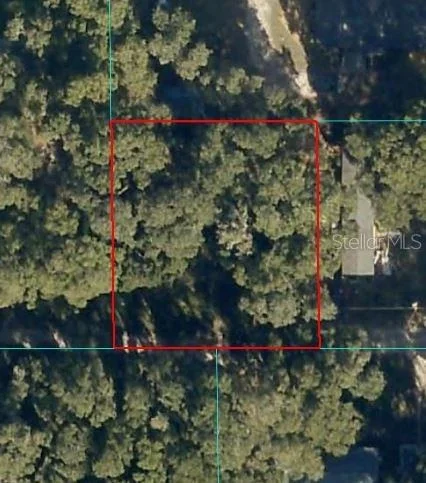 Unit for sale at 00 NE 160TH LANE, CITRA, FL 32113