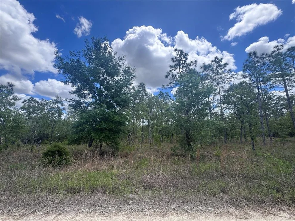 Unit for sale at TBD NE 15OTH COURT, WILLISTON, FL 32696