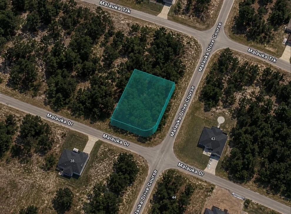 Unit for sale at 0 MALAUKA DRIVE, OCKLAWAHA, FL 32179