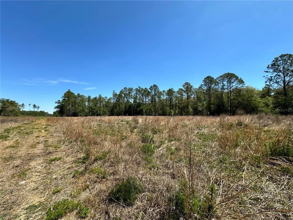 Unit for sale at TBD NE 128TH LANE, BRONSON, FL 32621