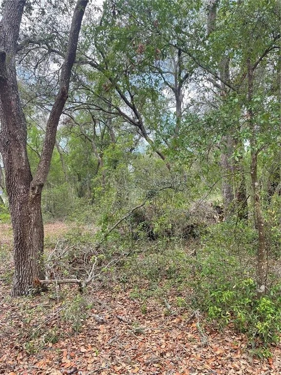 Unit for sale at JUNIPER STREET, LADY LAKE, FL 32159