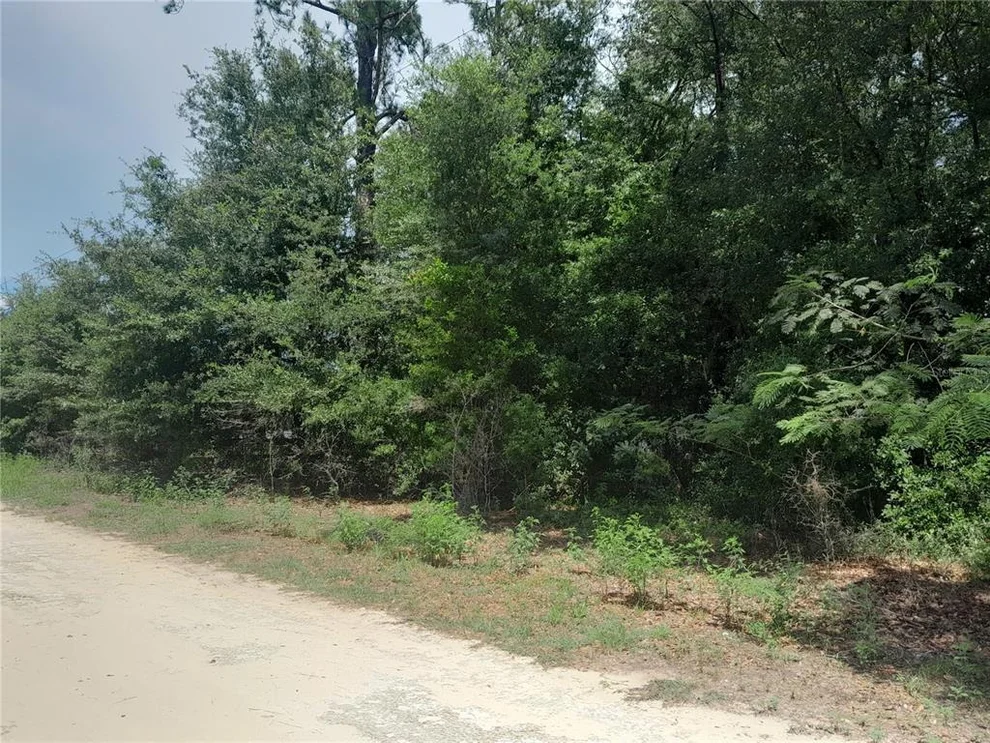 Unit for sale at SE 108TH TERRACE, MORRISTON, FL 32668