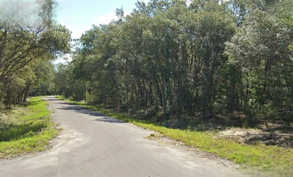Unit for sale at FISHER WAY DRIVE, OCKLAWAHA, FL 32179