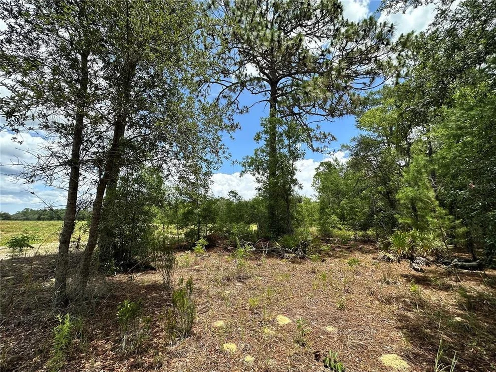 Unit for sale at TBD NE 69TH PLACE, BRONSON, FL 32621