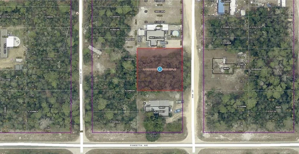 Unit for sale at 14-17-28-0200-004-04100 OAK STREET, PAISLEY, FL 32767
