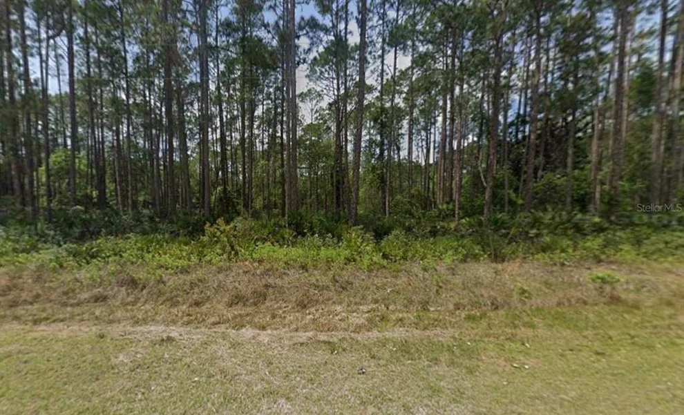 Unit for sale at 141 E BOUNDARY DRIVE, GEORGETOWN, FL 32139