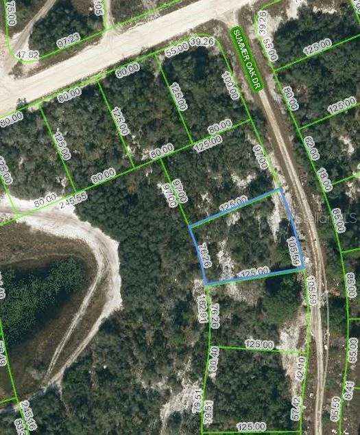 Unit for sale at 130 SUMMER OAK COURT, LAKE PLACID, FL 33852