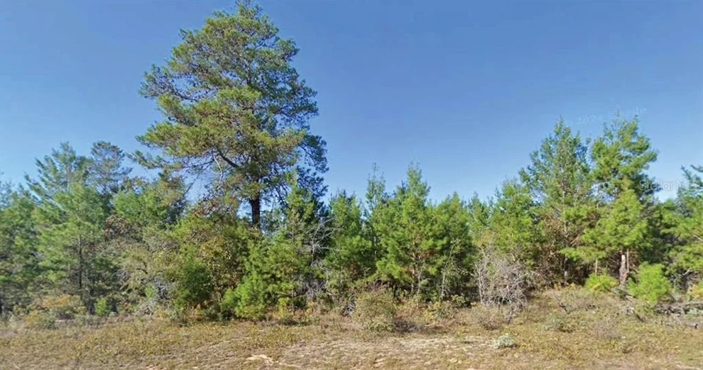 Unit for sale at DUMAJACK ROAD, CHIPLEY, FL 32428
