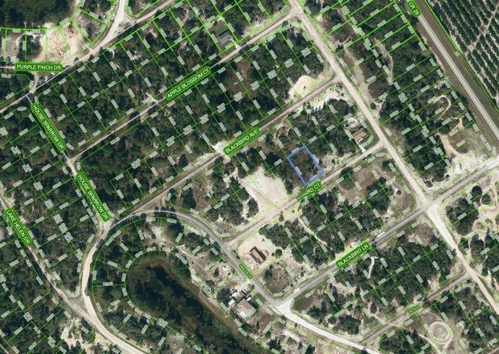 Unit for sale at 452 BLACKBIRD COURT, LAKE PLACID, FL 33852